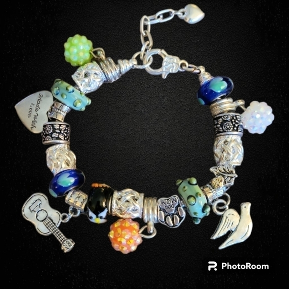 STAINLESS Steel European Lampwork Dog Mom Guitar Charm Bracelet - Picture 1 of 4